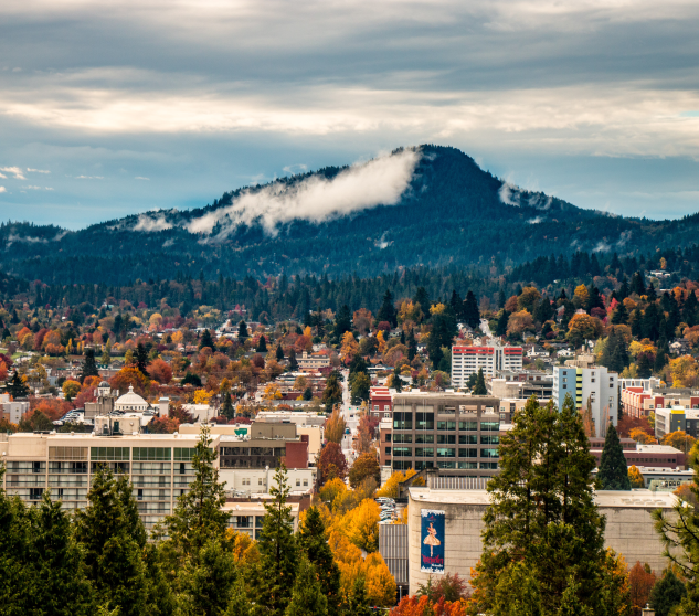 <h1>Expert Tax Preparation Services in Eugene, Oregon </h1>